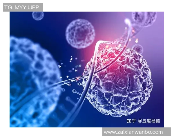 2026年3月份新闻北京足球队技术分析与战术探讨聚焦足球发展新趋势